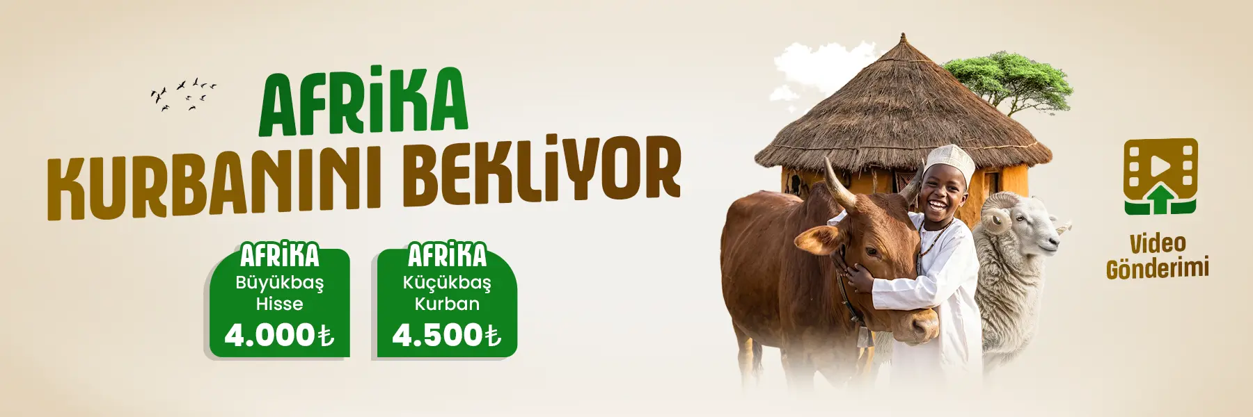 Vacip Kurban Bağışı